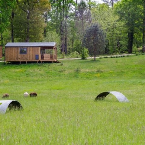 Chalet 7 personen - HORION