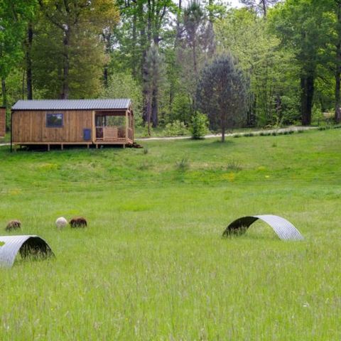 Chalet 7 persons - HORION