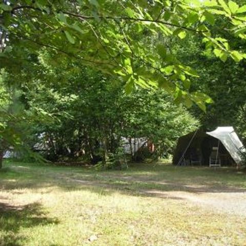 STAANPLAATS - Standplaats voor tent / caravan / camper