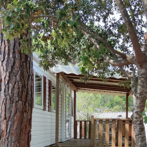 MOBILHOME 6 personnes - REGENCY HOLIDAY C077 3 chambres