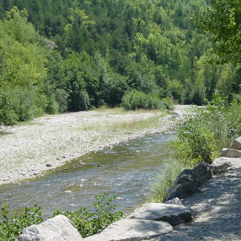 Stellplatz - Stellplatz mit Strom 5A