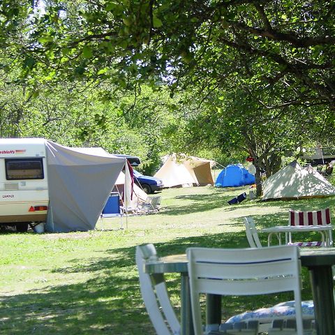 Stellplatz - Stellplatz mit Strom 5A
