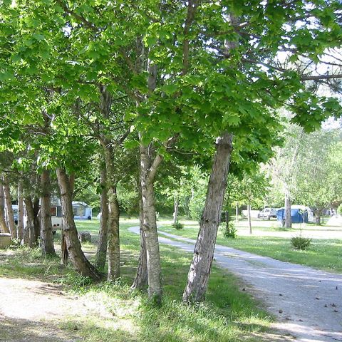 STAANPLAATS - Camperpakket