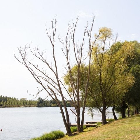 PIAZZOLA - Pacchetto comfort