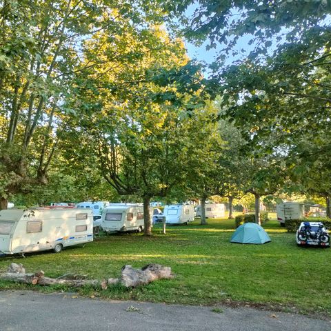 STAANPLAATS - Wandel- of fietsarrangement met tent