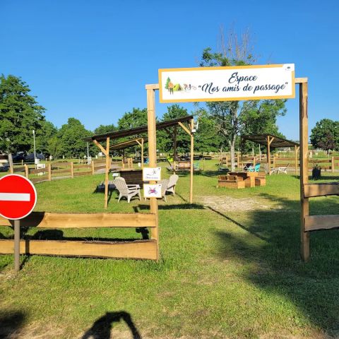 Camping L'Ile aux mille Charmes - Camping Vosgi - Image N°4