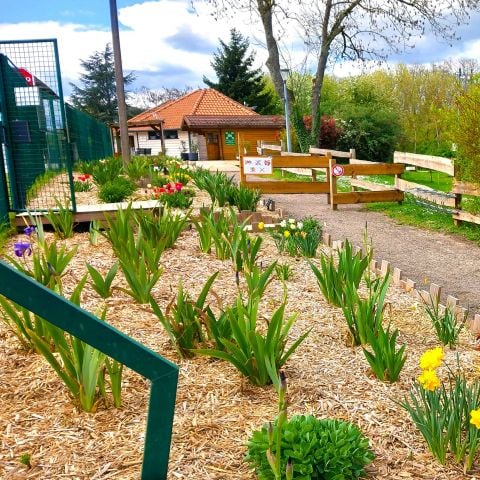 Camping L'Ile aux mille Charmes - Camping Vogezen - Afbeelding N°3