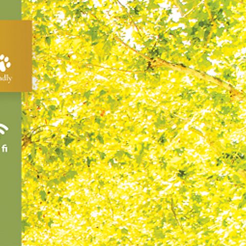 PARCELA - Ranura Gold Plus de 10 amperios