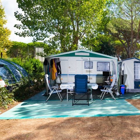 Pitch - Gold Plus 10 amp slot