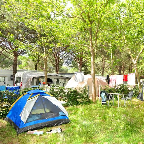 Pitch - Gold Plus 10 amp slot