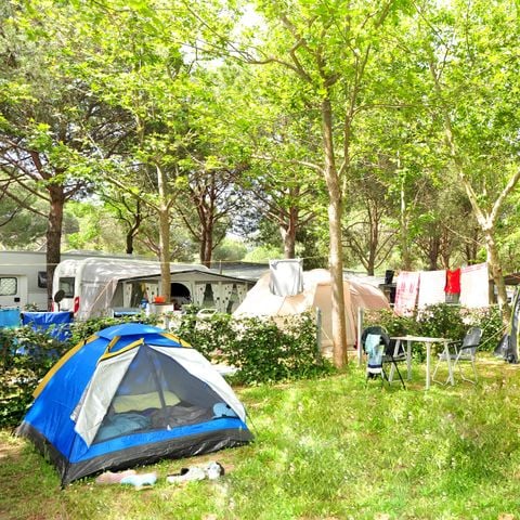 PIAZZOLA - Slot Gold Plus 10 amp