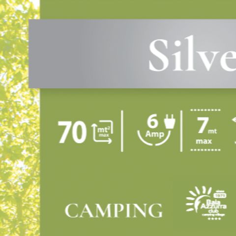STAANPLAATS - Standplaats zilver: tent, caravan of camper, elektriciteit 3A