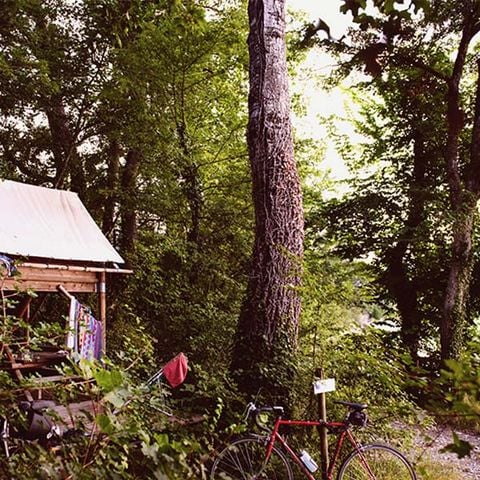 Hébergement 2 personnes - Cabane Bivouac sur pilotis sous les arbres