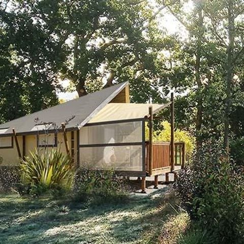 Tente en toile et en bois 5 personnes - Jungle Lodge