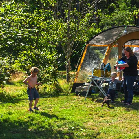 STAANPLAATS - tent + auto + elektriciteit