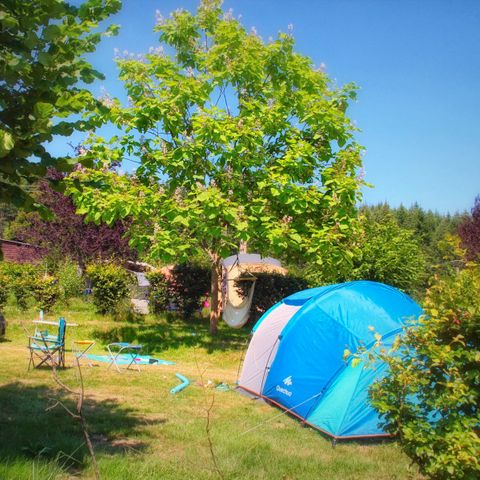 PIAZZOLA - tenda + auto + elettricità