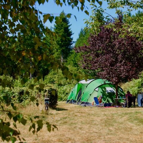 Pitch - tent + car + electricity