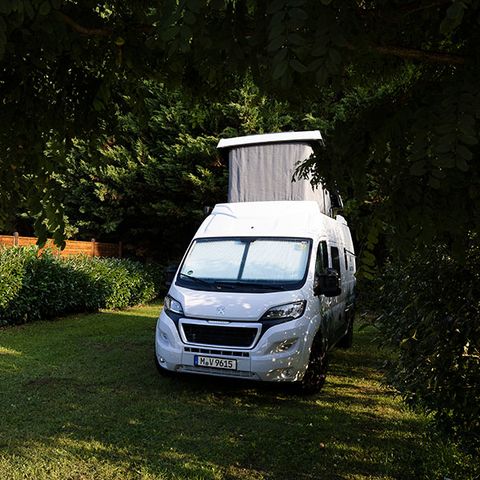 Kampeerplaats - Comfort Plus pakket (1 caravan of camper / 1 auto / elektriciteit)