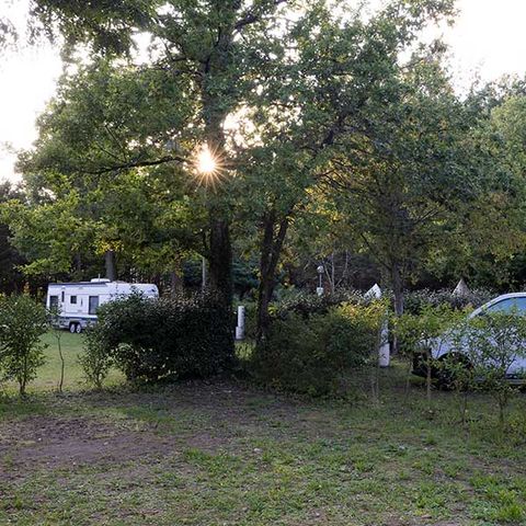 EMPLACEMENT - Forfait Confort Plus(1 caravane ou camping-car / 1 voiture / électricité )