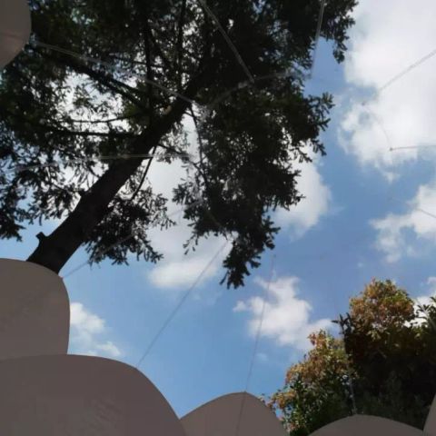 UNIEKE ACCOMMODATIE 2 personen - Bulle Fleur du jour 1 kamer 2 personen Zonder badkamer