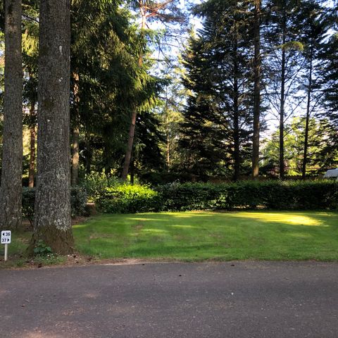 PLOT - Comfort pitch 80m² - 10A