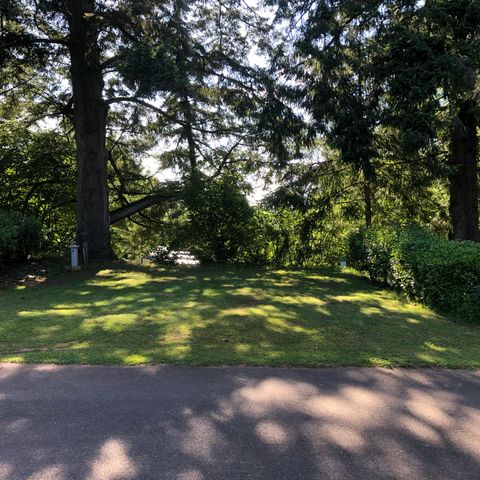 Stellplatz - Prestige-Stellplatz 100m² - 10A + Wasser und Abwasser