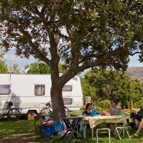 PARCELA - Césped de 100 metros