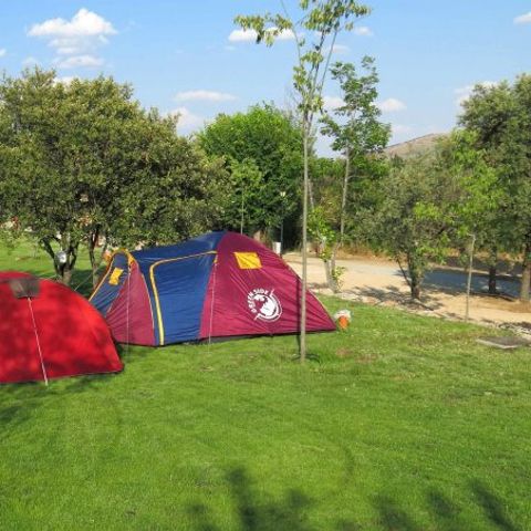 Pitch - Pitch of 70 metres of grass, views and sun