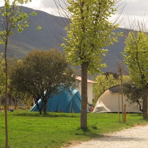 Pitch - Pitch of 70 metres of grass, views and sun