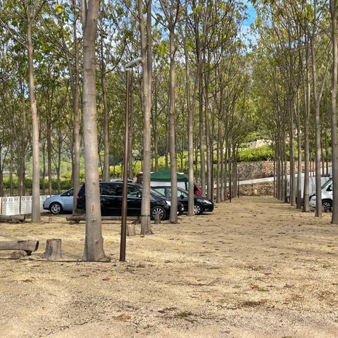 PARCELA - parcela grande