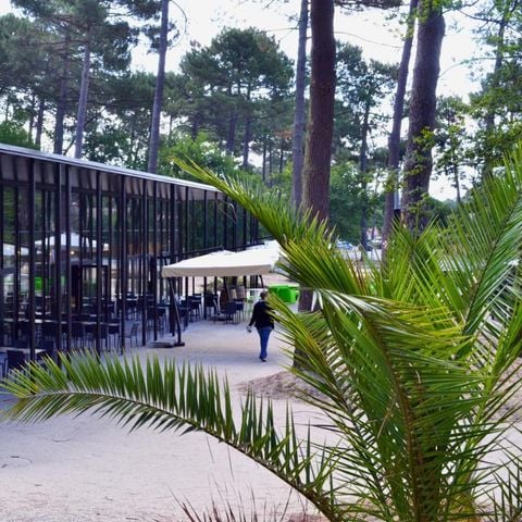 VVF Villages - Le Cap Ferret - Lège-Cap-Ferret - Camping Gironde - Afbeelding N°4