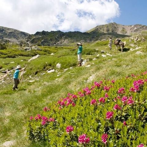 VVF Résidence Les Angles Pyrénées - Camping Pyrénées-Orientales - Image N°3