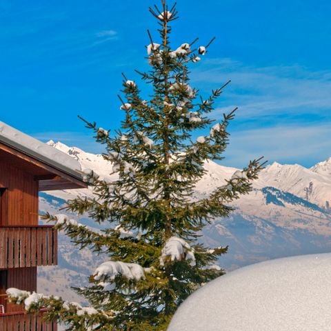 VVF Villages - Le Balcon du Mont Blanc - La Plagne Tarentaise - Camping Savoie - Afbeelding N°3