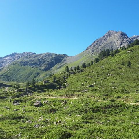 VVF Villages Meribel-Mottaret - Camping Saboya - Image N°3