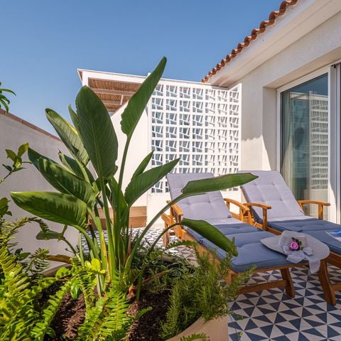 Apartement 3 Personen - 1 Zimmer 3 Pers.