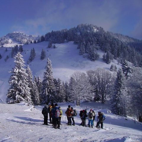 VVF Villages - Jura les Rousses - Prémanon - Camping Jura - Image N°2