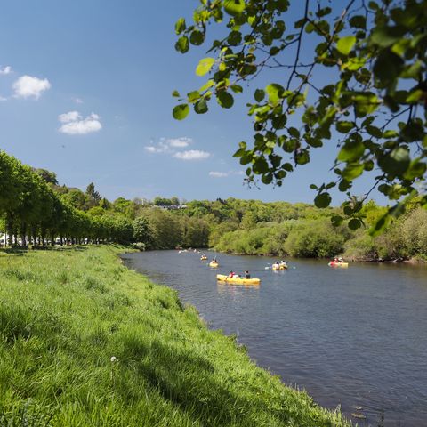 PARCELA - Parcela confort: 1 tienda, caravana o autocaravana + 1 coche + electricidad (10A)