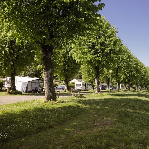 PIAZZOLA - Piazzola Confort Semois: 1 tenda, roulotte o camper + 1 auto + elettricità (10A)