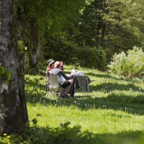 Stellplatz - Stellplatz Confort Semois: 1 Zelt, Wohnwagen oder Wohnmobil + 1 Auto + Strom (10A)