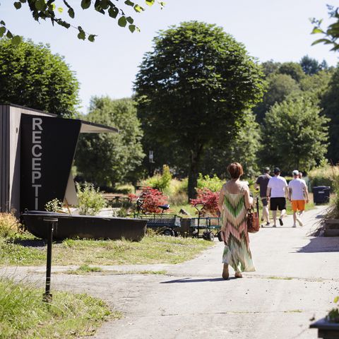 PARCELA - Parcela autocaravana + electricidad (16A) - sólo autocaravana