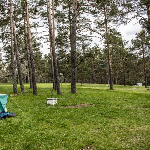 STAANPLAATS - PARCELA TIENDA