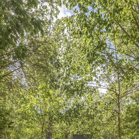 EMPLACEMENT - Voiture +/caravane ou camping-car + électricité