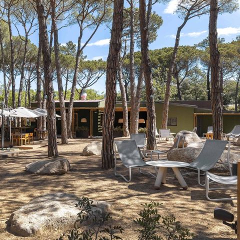 Canvas and wooden tent 2 persons - Bell Tent