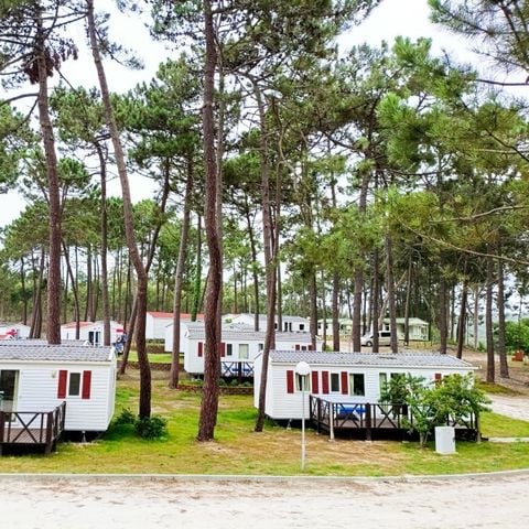 Camping Orbitur Foz de Arelho - Camping Région de Lisbonne - Image N°3