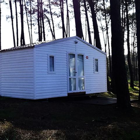 MOBILHOME 5 personas - HAWAI - sin instalaciones sanitarias