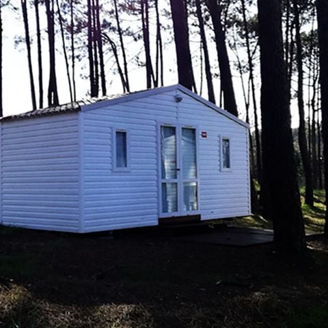 MOBILHOME 5 personnes - HAWAI - sans sanitaire