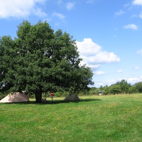 Stellplatz - Grasbewachsener Stellplatz