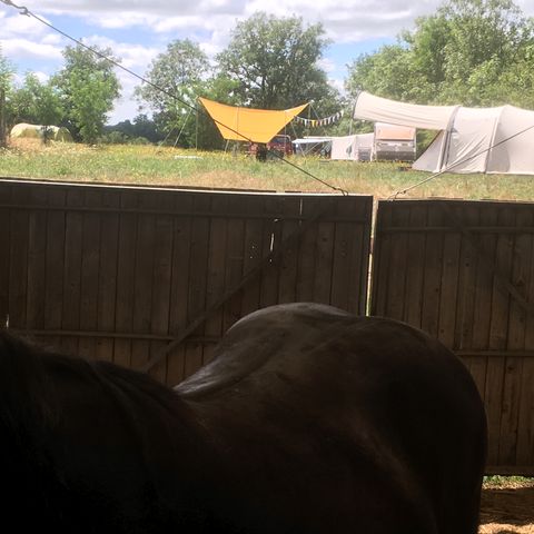 PARCELA - Campo de hierba