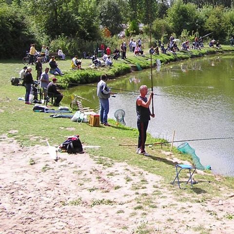 CARAVANING L'OREE DU BOIS - Camping Pas-de-Calais - Afbeelding N°6