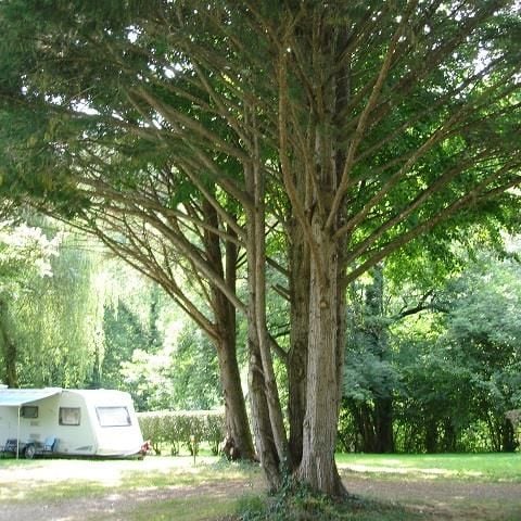 PIAZZOLA - per tende, caravan e camper
